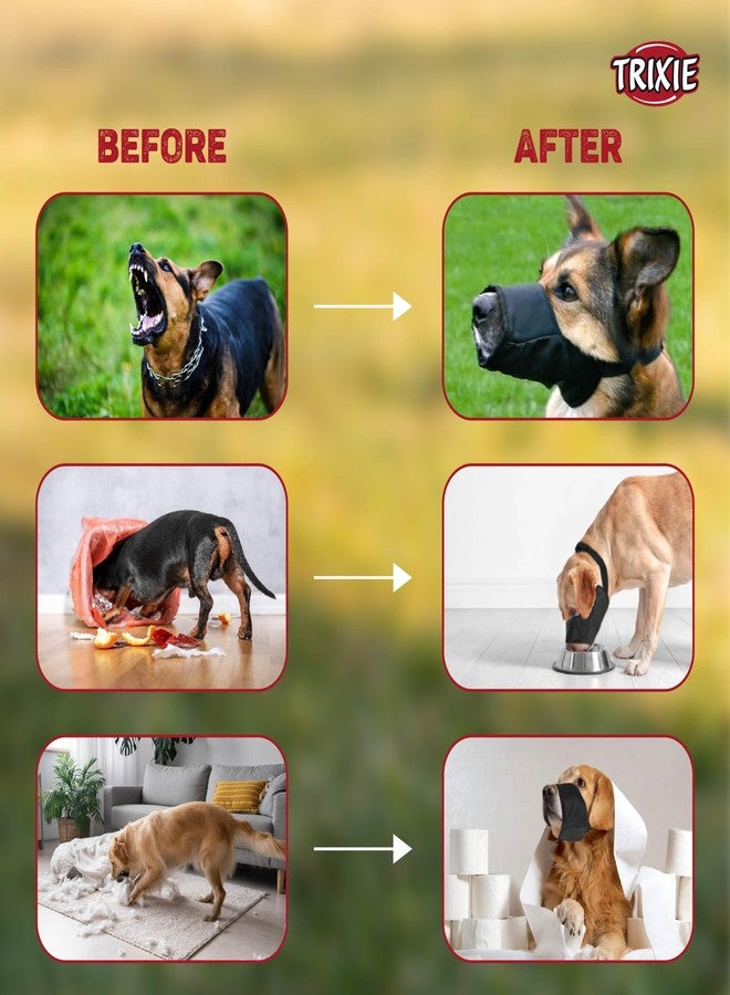 Trixie: - Nylon Muzzle for Dogs | Made with Durable Nylon, Lightweight and Fully Adjustable | Helps Protect Your Dog and The Surroundings | Can be Used During Exercise and Play - L - Image 3